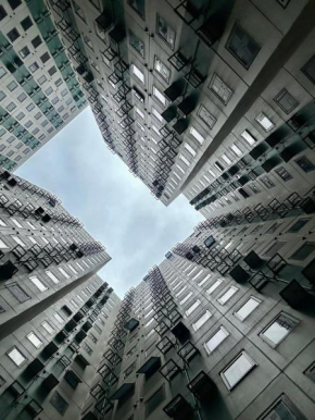 The Urban Haven